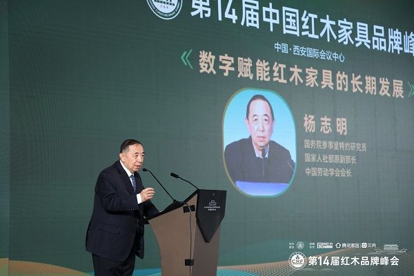國(guó)務(wù)院參事室特邀研究員、國(guó)家人社部原副部長(zhǎng)、中國(guó)勞動(dòng)學(xué)會(huì)會(huì)長(zhǎng)楊志明發(fā)表演講